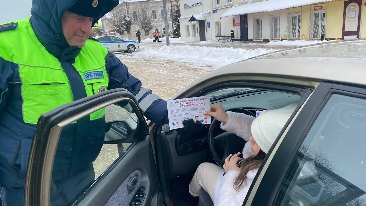 Источник: пресс-служба ГИБДД по Павлово-Посадскому городскому округу