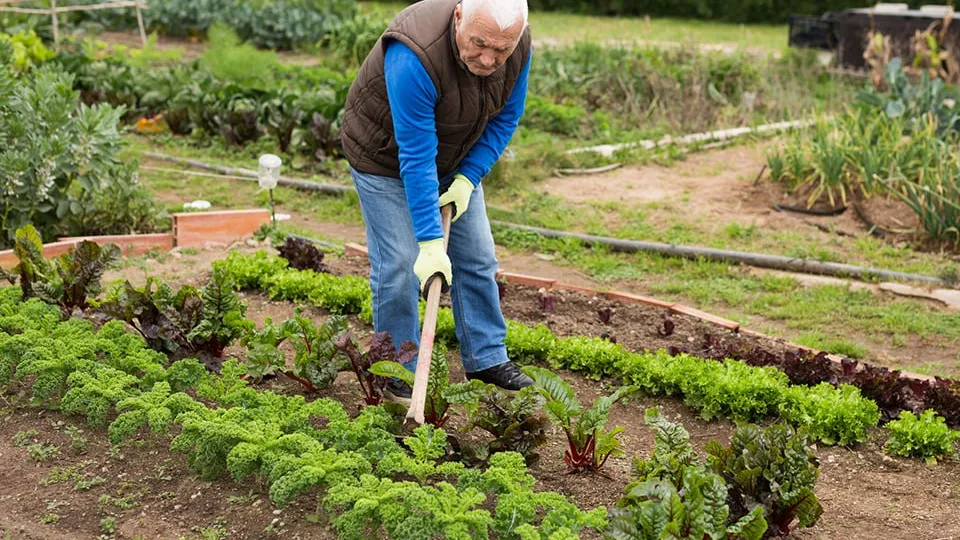 Фото: istockphoto.com