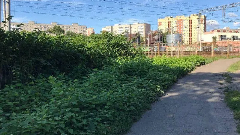 Министерство транспорта и дорожной инфраструктуры МО