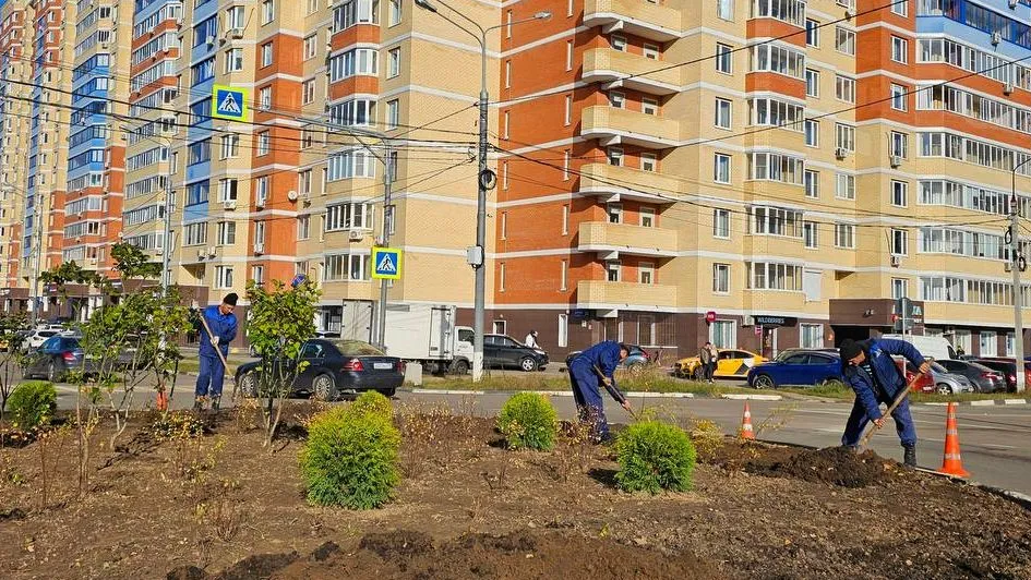 Фото: t.me/pressadomodedovo