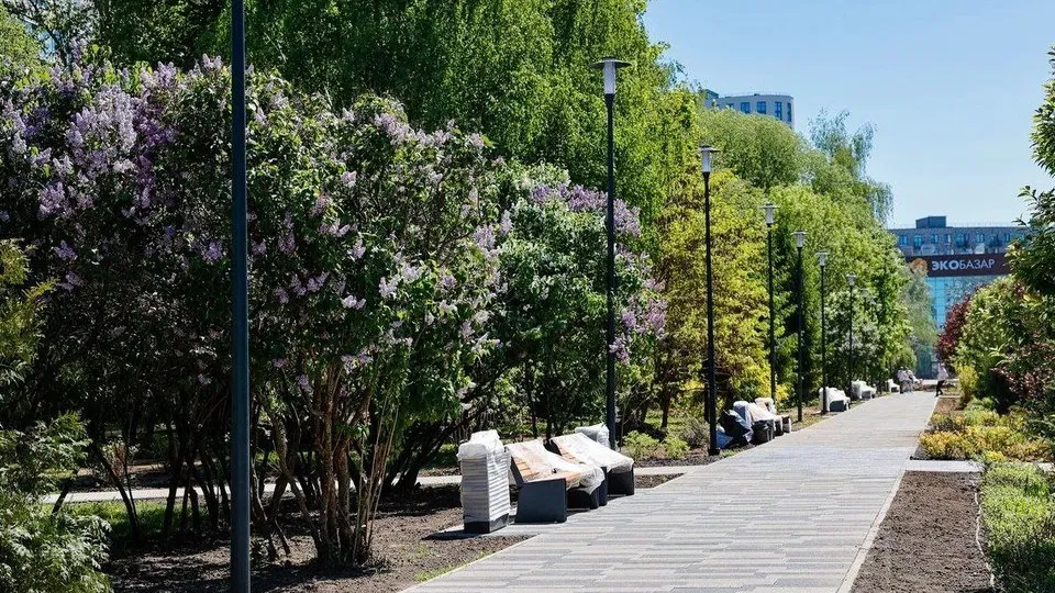 Фото: Пресс-служба администрации городского округа Мытищи