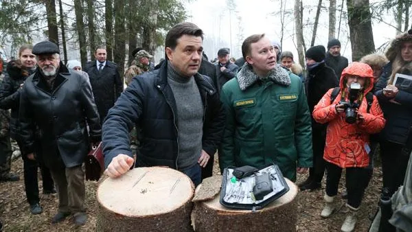 Миллионы саженцев в год