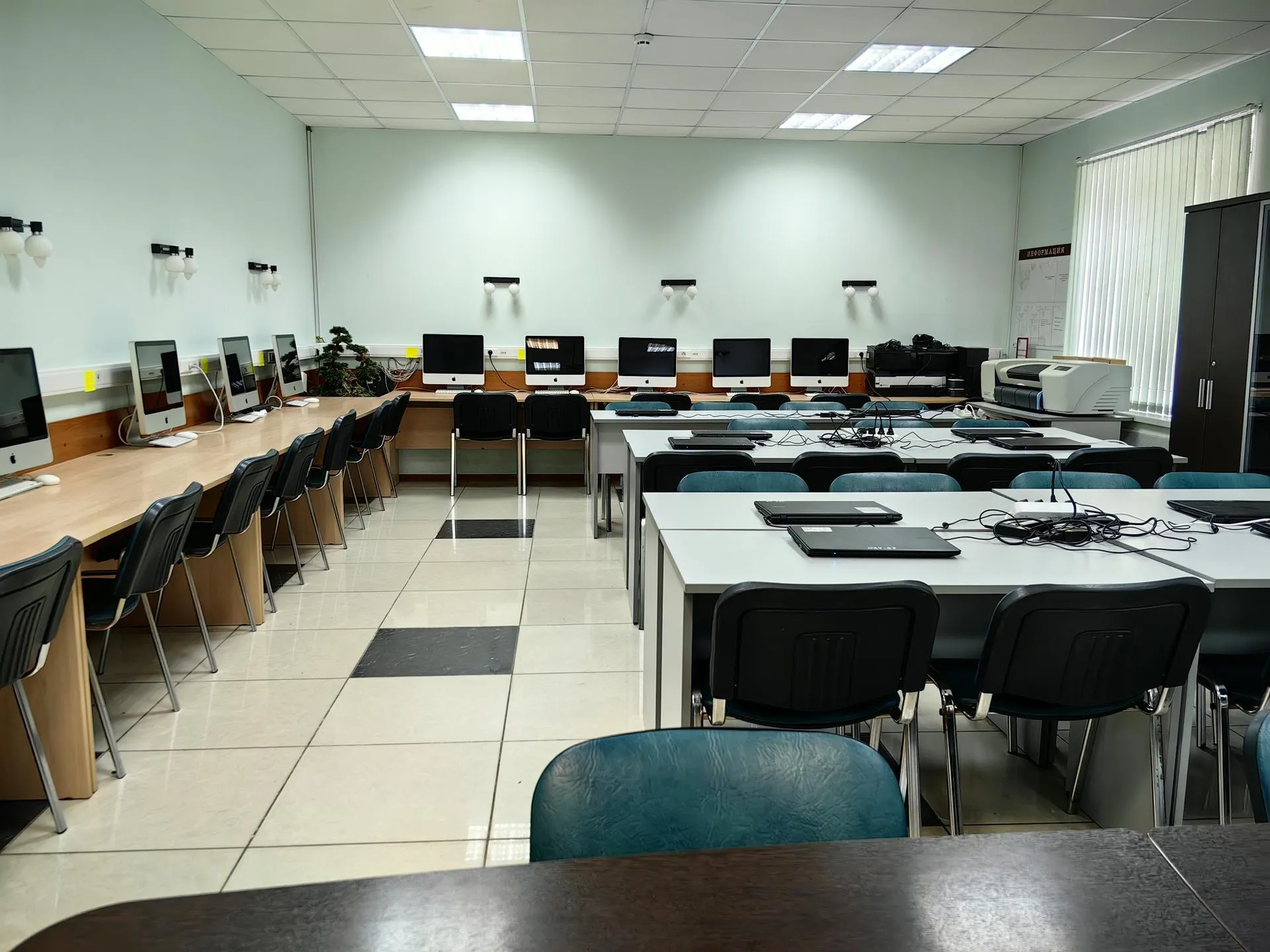 Елена Катасонова