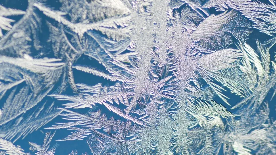 Фото: freepik.com