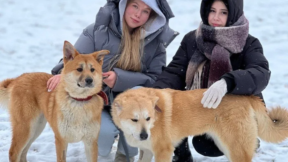 Фото: администрация г.о.Клин