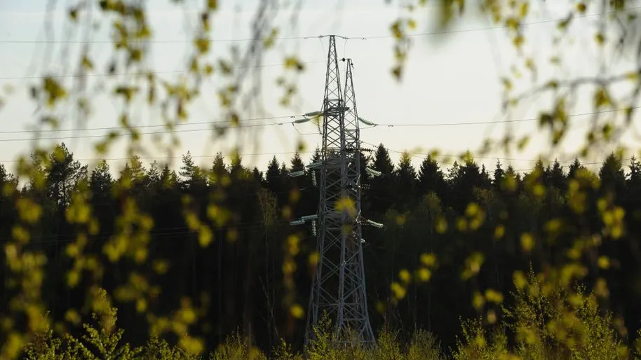 Фото: Медиаархив Подмосковья