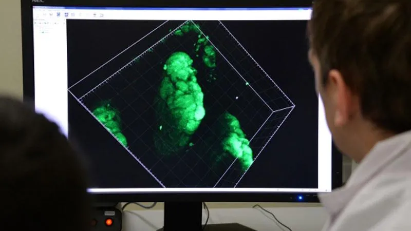 Ученые: некоторые клетки могут жить после смерти человека