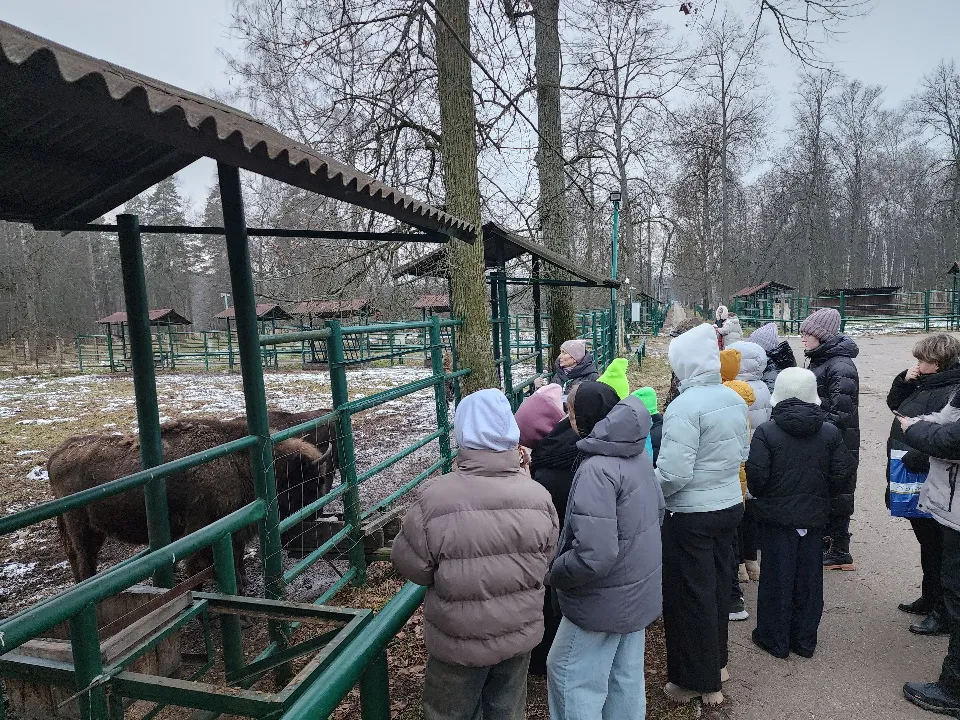 Фото: МедиаБанк Подмосковья/Александр Степушкин