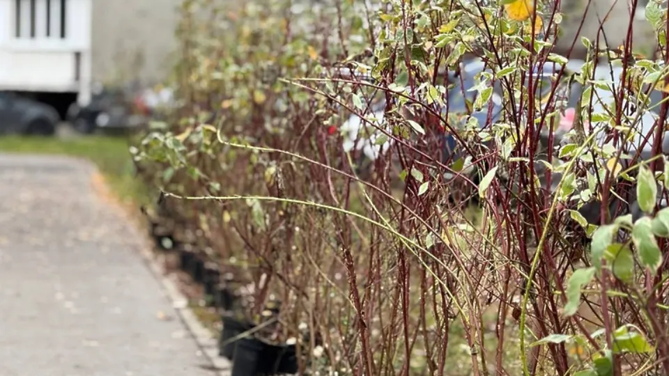 Фото: пресс-служба Администрации м.о. Егорьевск