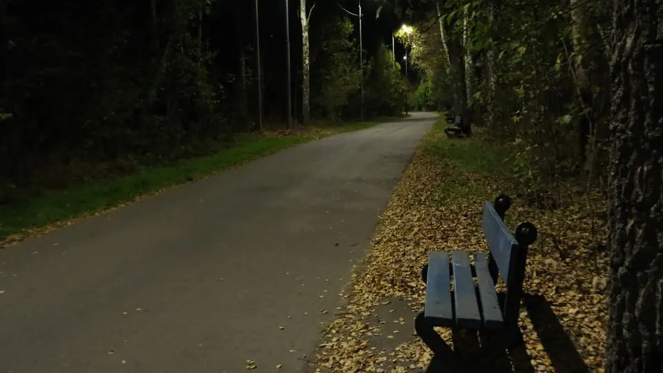 Фото: МедиаБанк Подмосковья/ Мария Панина