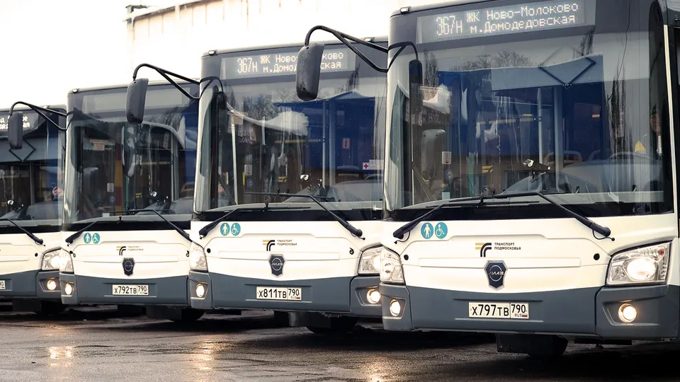 Фото: медиасток.рф