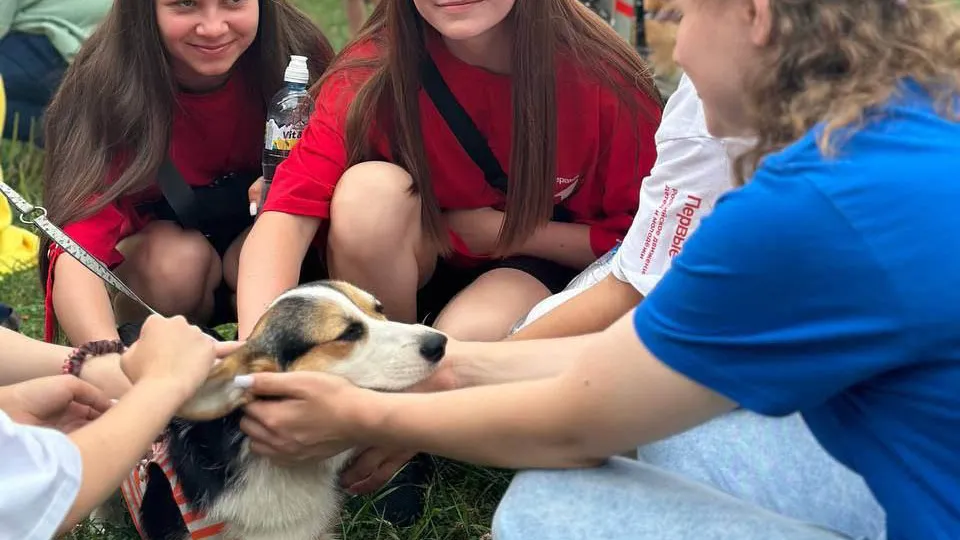 Фото: t.me/mypervie50