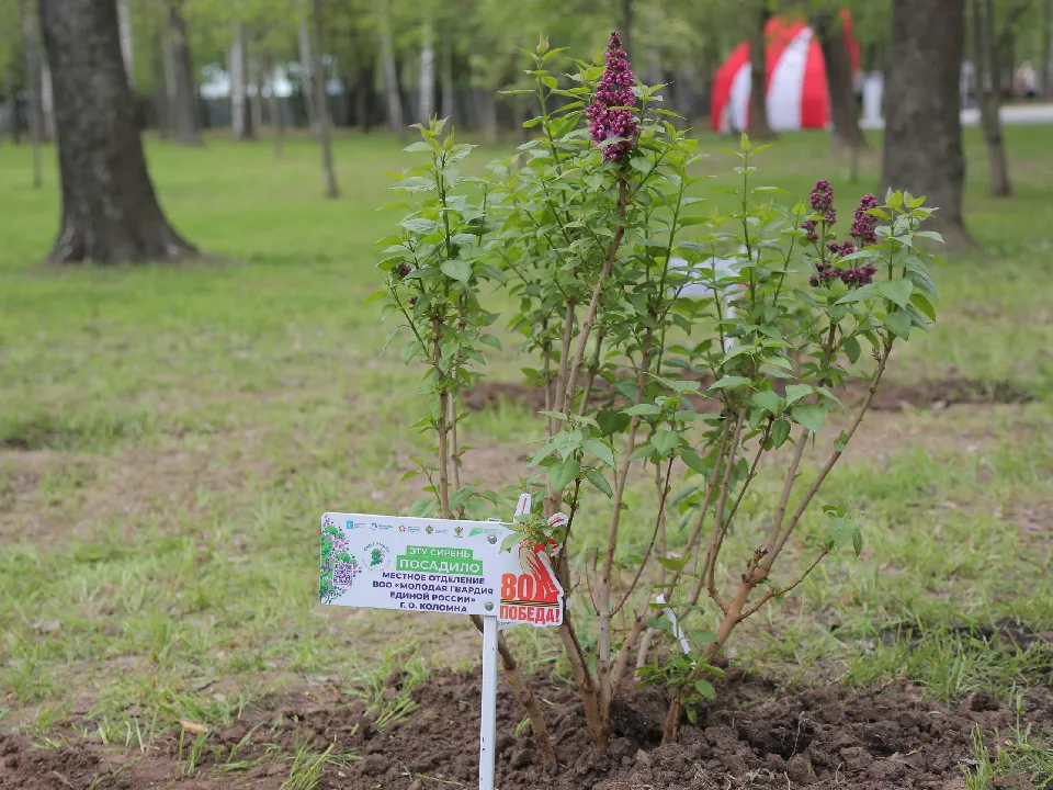 Фото: пресс-служба администрации г.о. Коломна