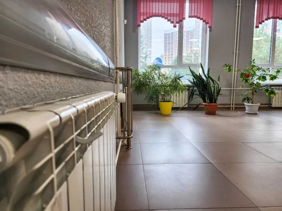 Фото: REGIONS/Мария Андрюхина