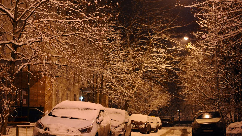 Фото: медиасток.рф