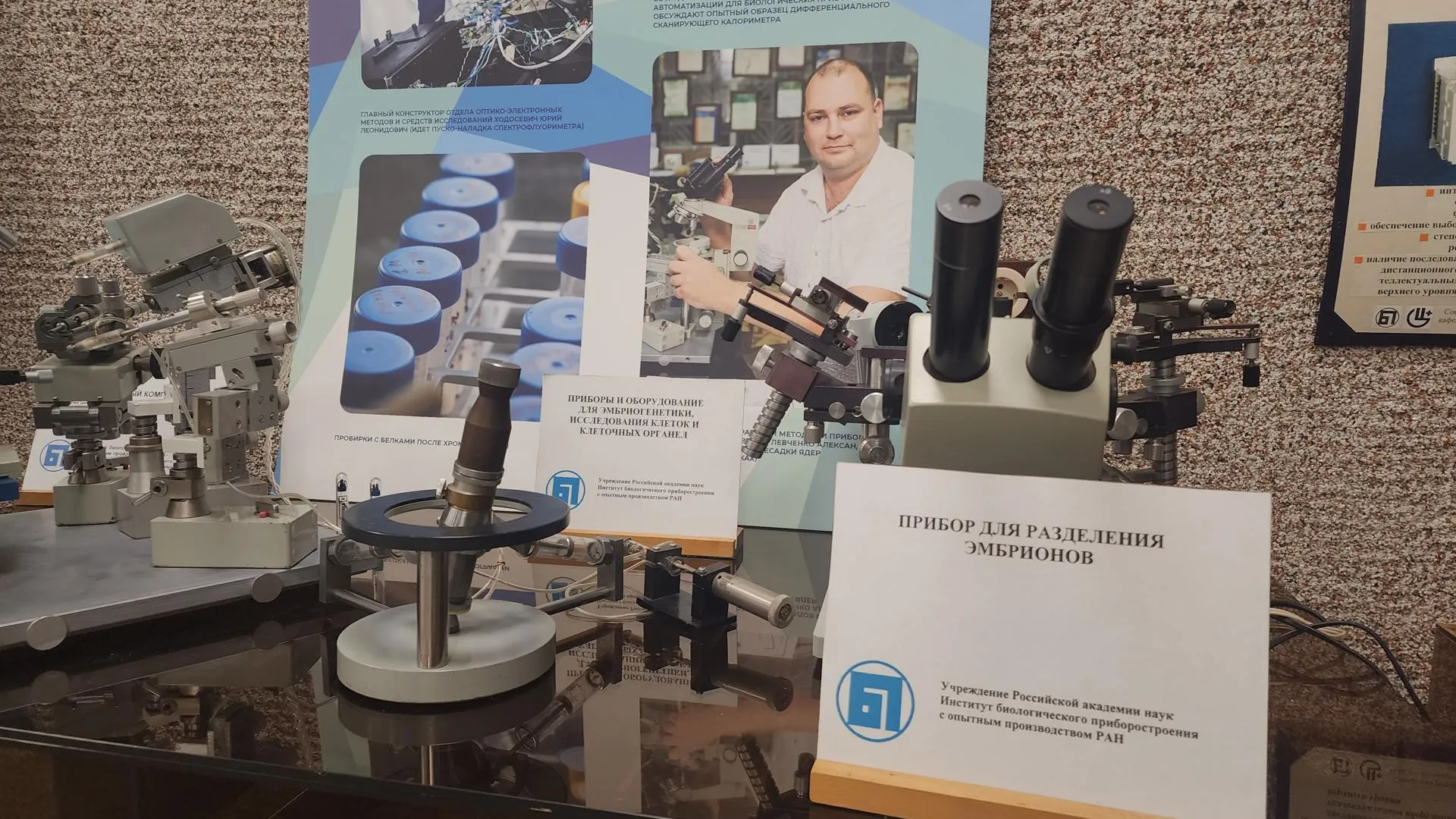 Фото: Мария Панина