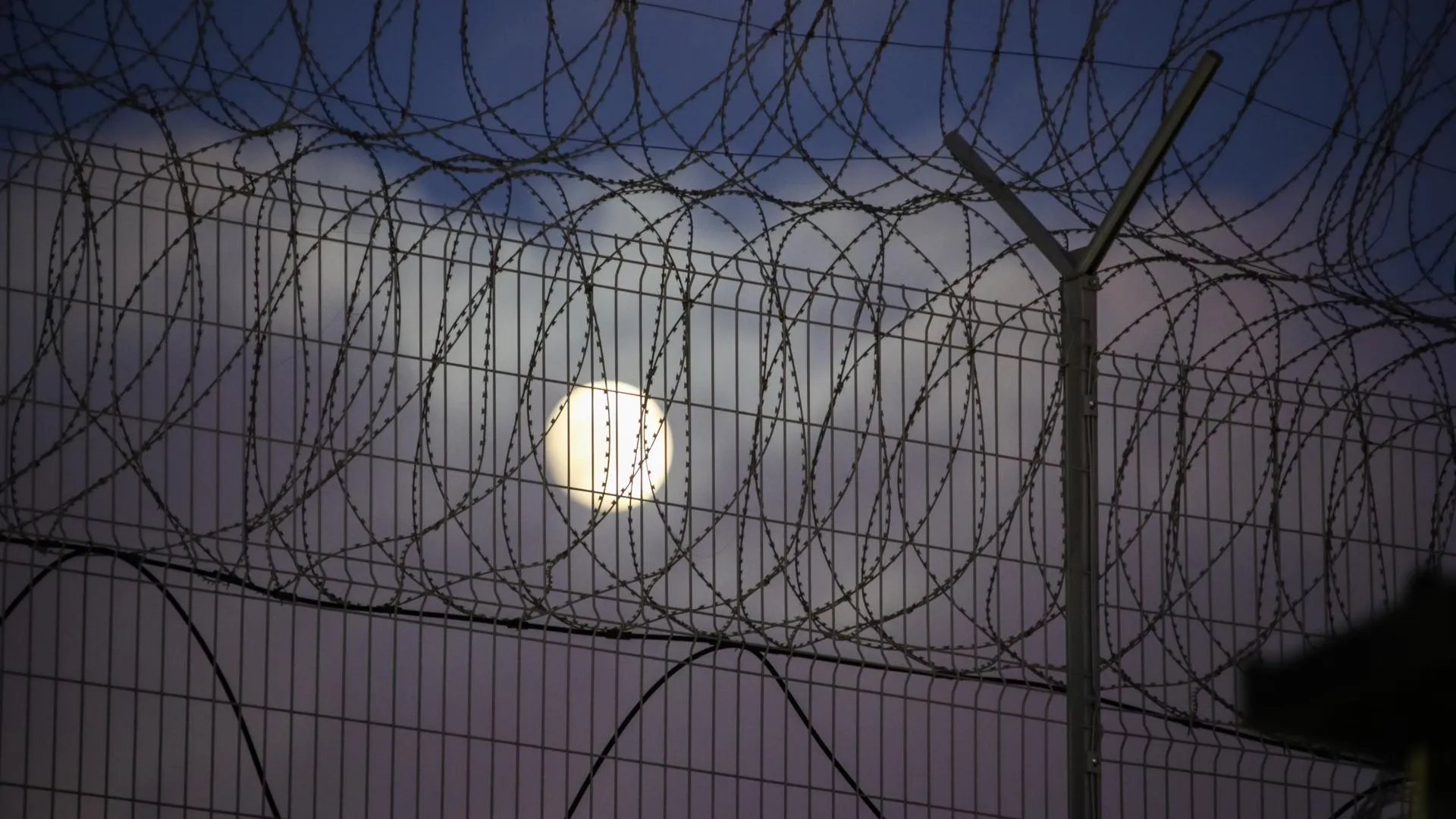 Lantyukhov Sergey/news.ru