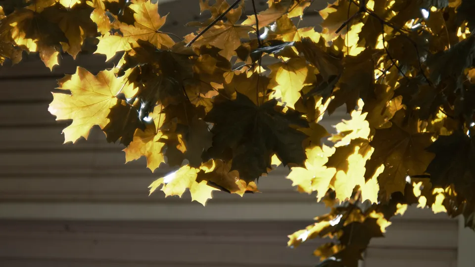 Фото: REGIONS/Наталия Надточая