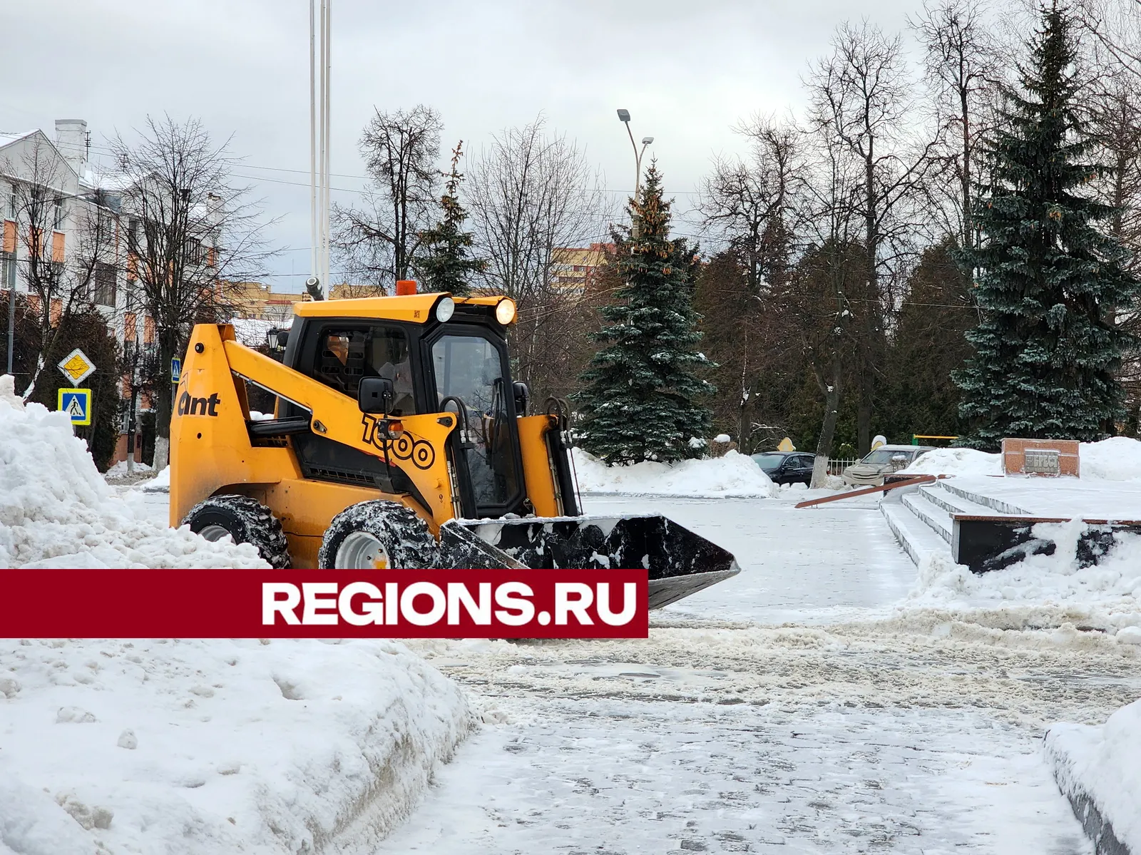 фото: Ксения Пашуто<br>