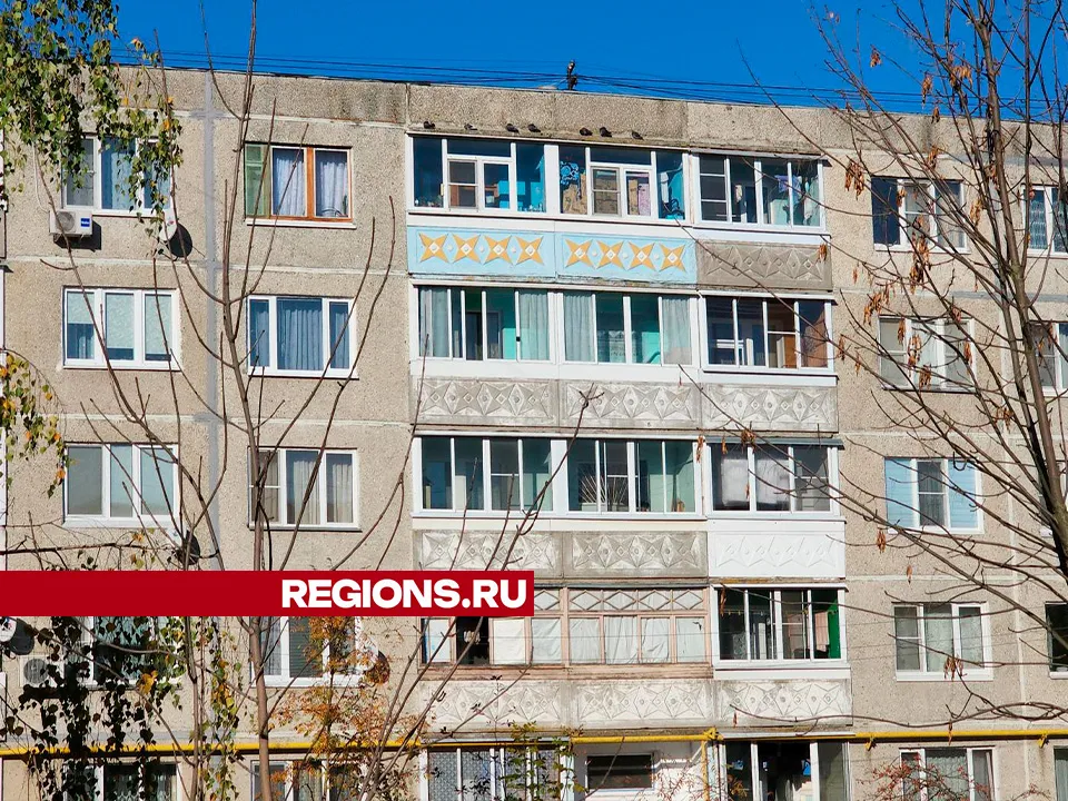 Фото: Светлана Плотникова