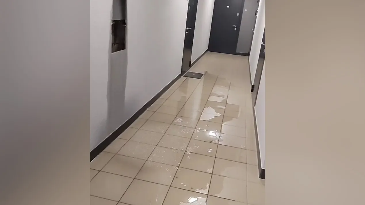 Фото: t.me/reutov_today