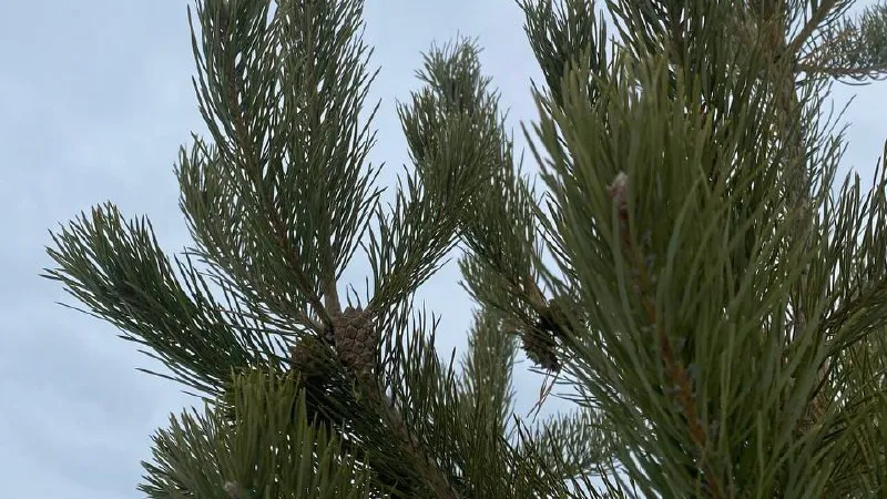 Фото: REGIONS/Мария Толстикова