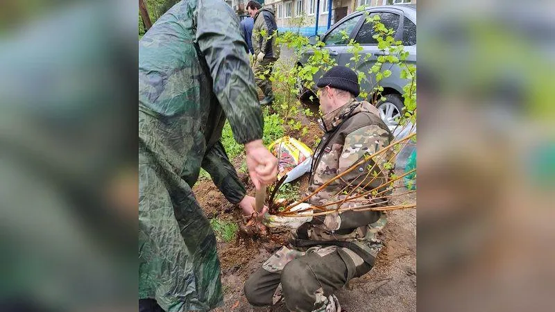 Жительница Дмитрова благодарит коммунальщиков за помощь и креатив в благоустройстве сада