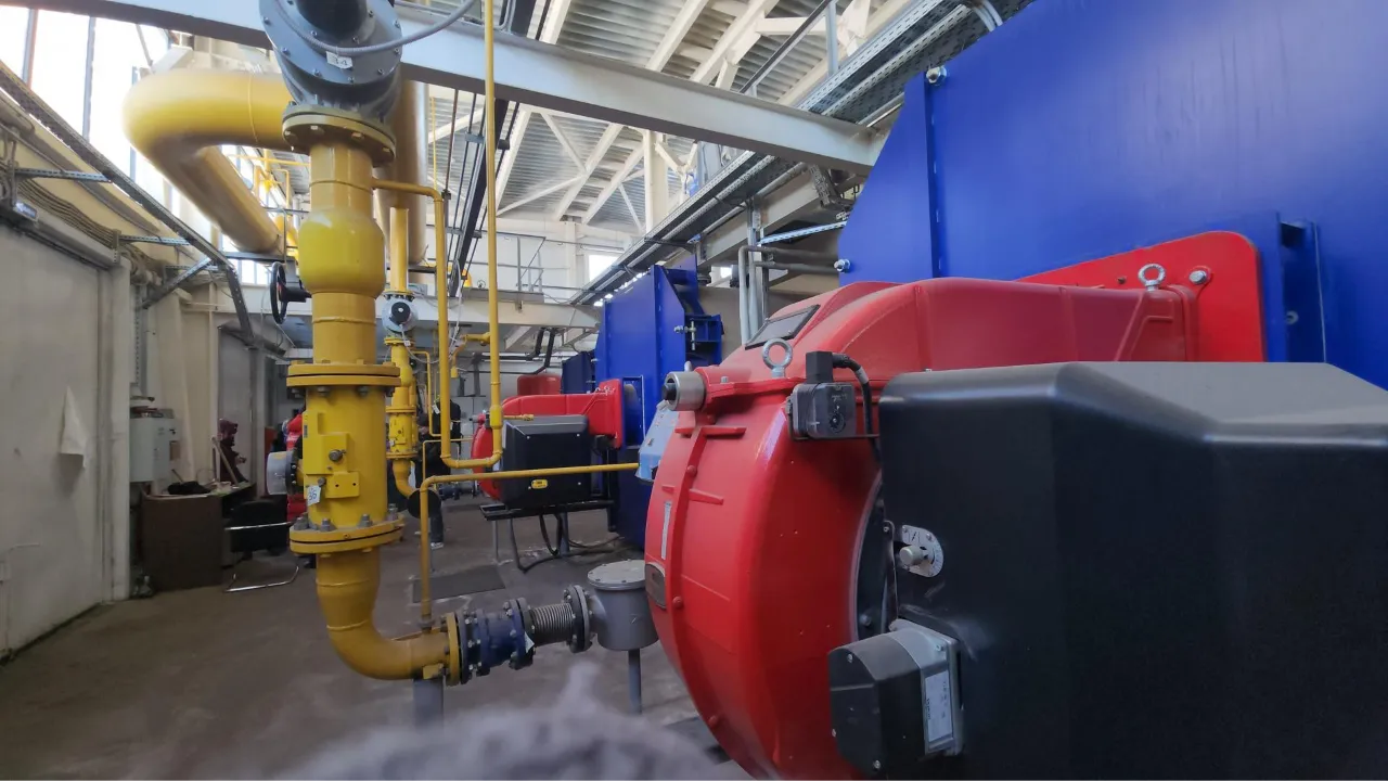 МедиаБанк Подмосковья/Наталья Лымарь