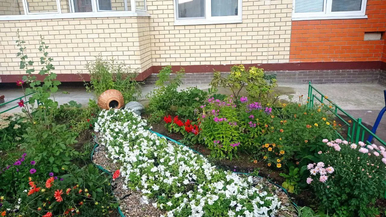 Фото: t.me/bala_shukher