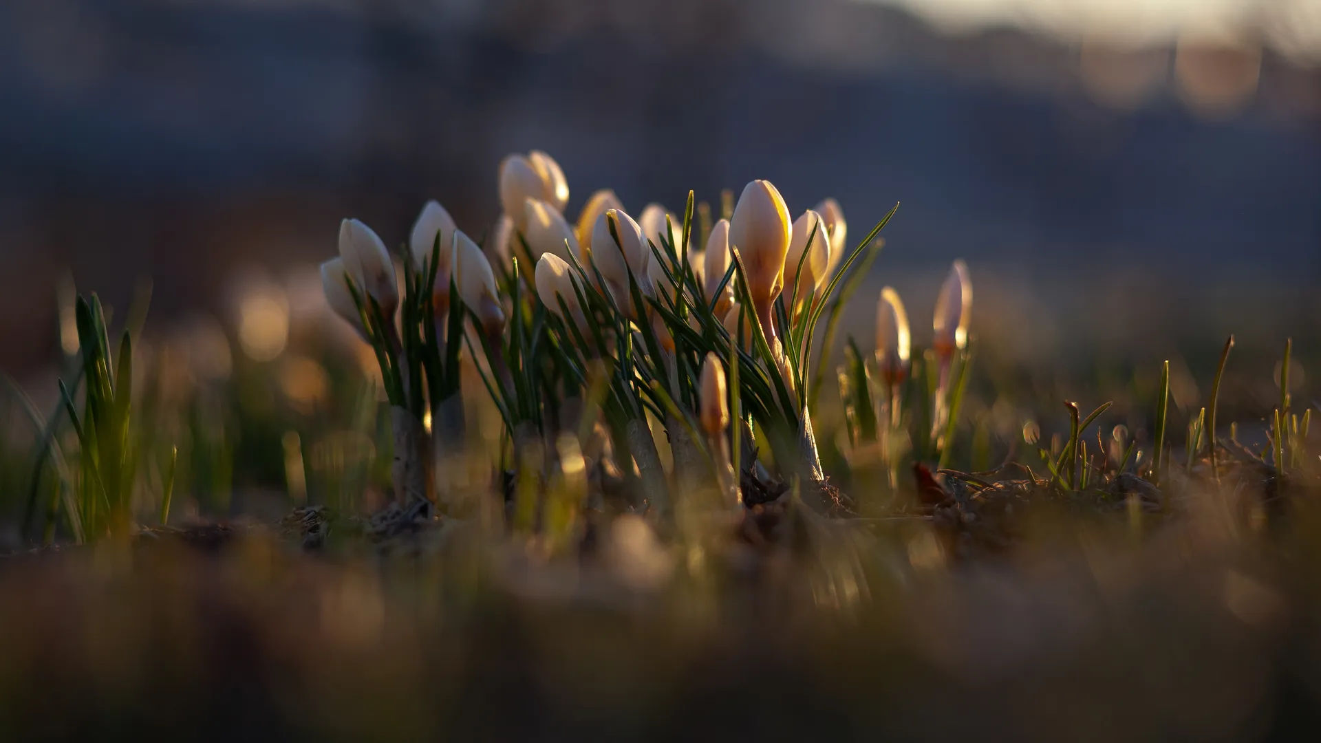 Весна спешит: апрель порадует теплом, а март уже был как типичный апрель