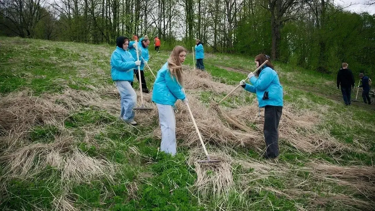 Всероссийская неделя субботников «Мы за чистоту» завершилась в Подмосковье
