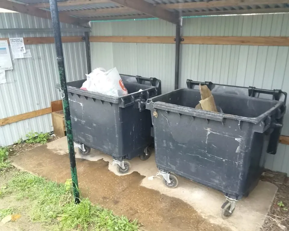 Фото: Анна Светлова