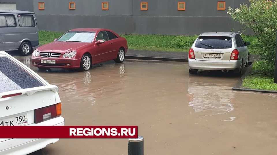 Фото: REGIONS/Валерия Исаева