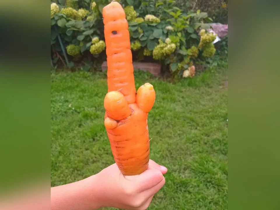 Фото: Надежда Орлова