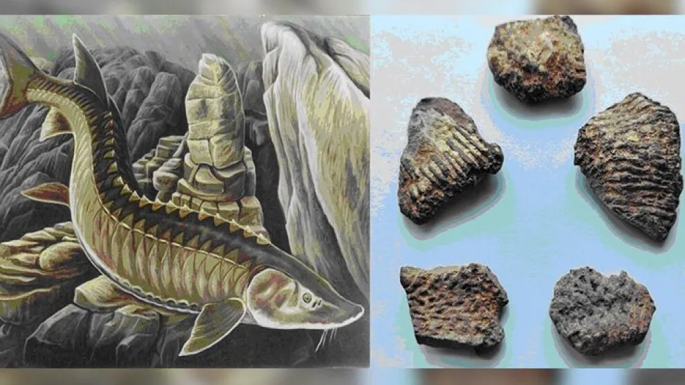 Фото: ФИЦ ПНЦБИ РАН