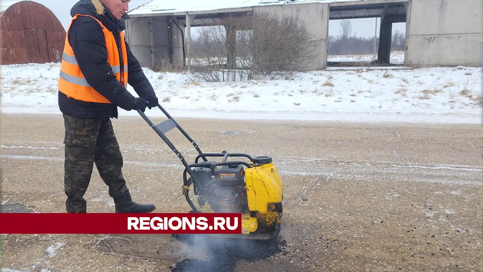 Фото: Дмитрий Беденко