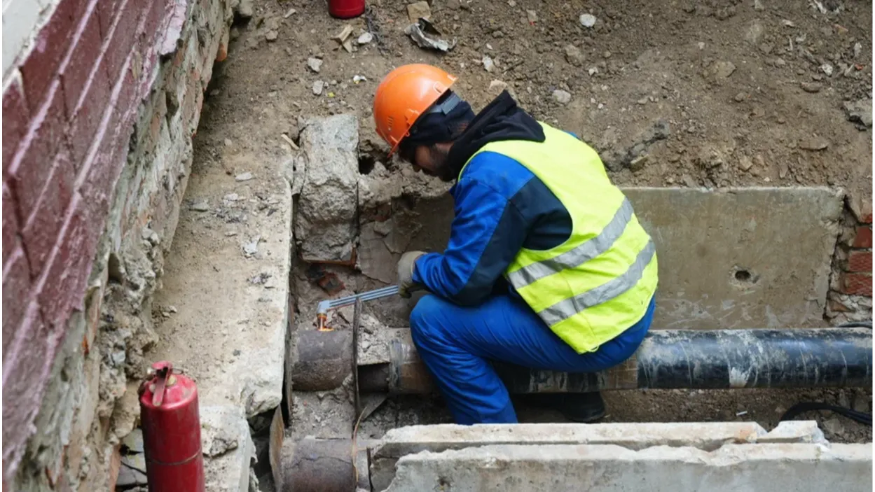 Фото: Пресс-служба губернатора Московской области