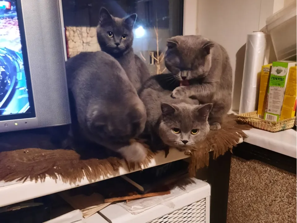 Фото: Марина Цимбалова&nbsp;