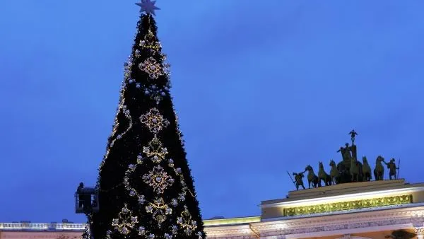 В Санкт-Петербурге начали устанавливать главную новогоднюю елку города