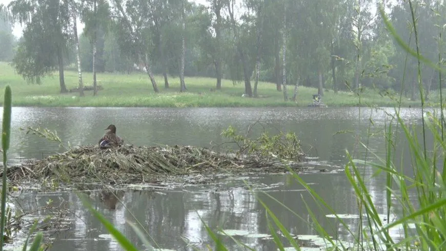 Фото: администрация городского округа Клин