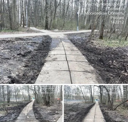 Фото: пресс-служба администрации муниципалитета