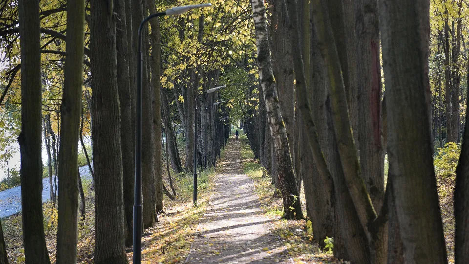 Фото: медиасток.рф