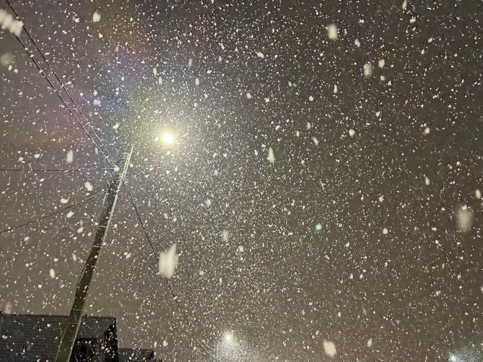 Фото: REGIONS/Евгения Макаренко