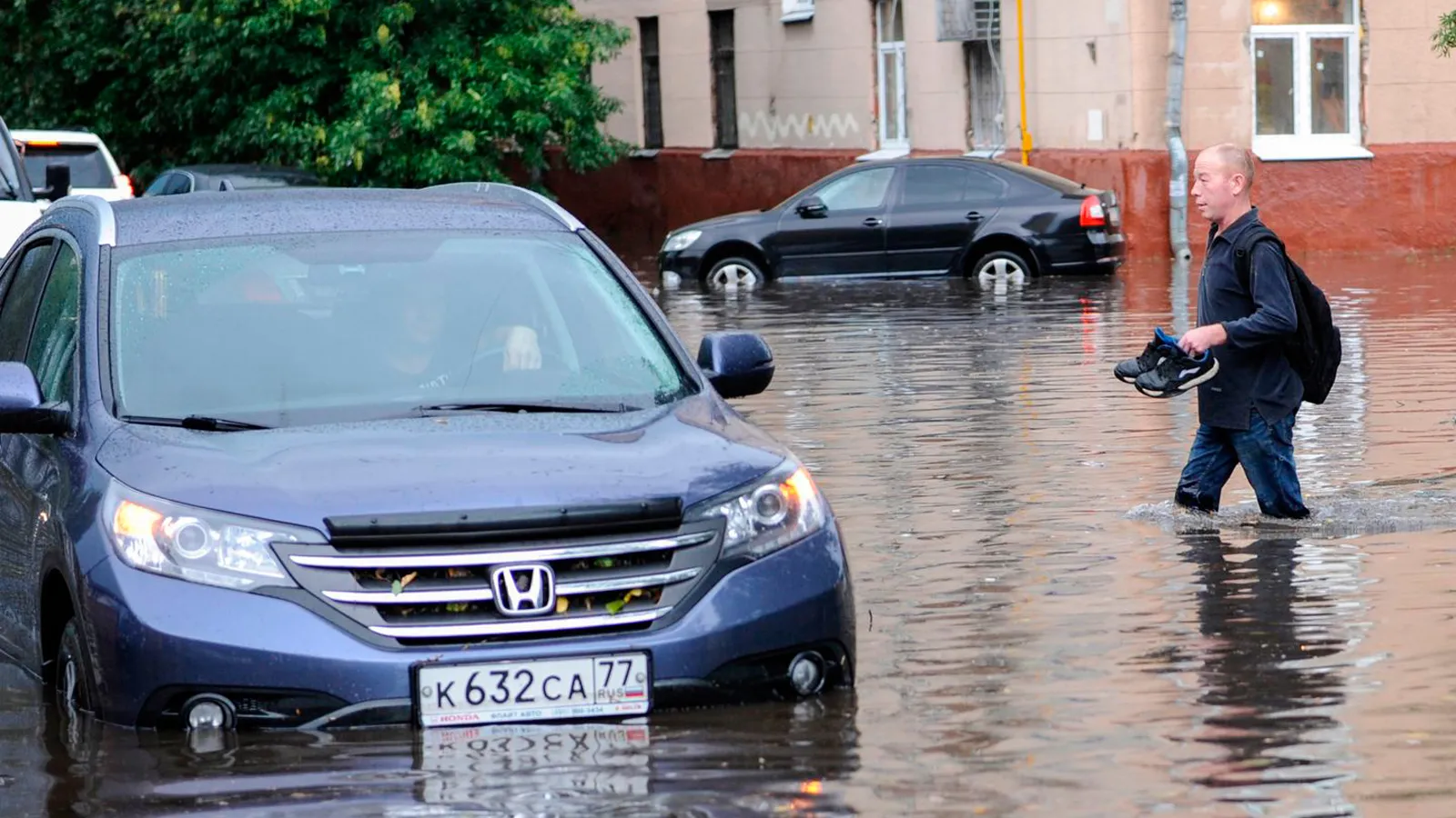 Фото: медиасток.рф