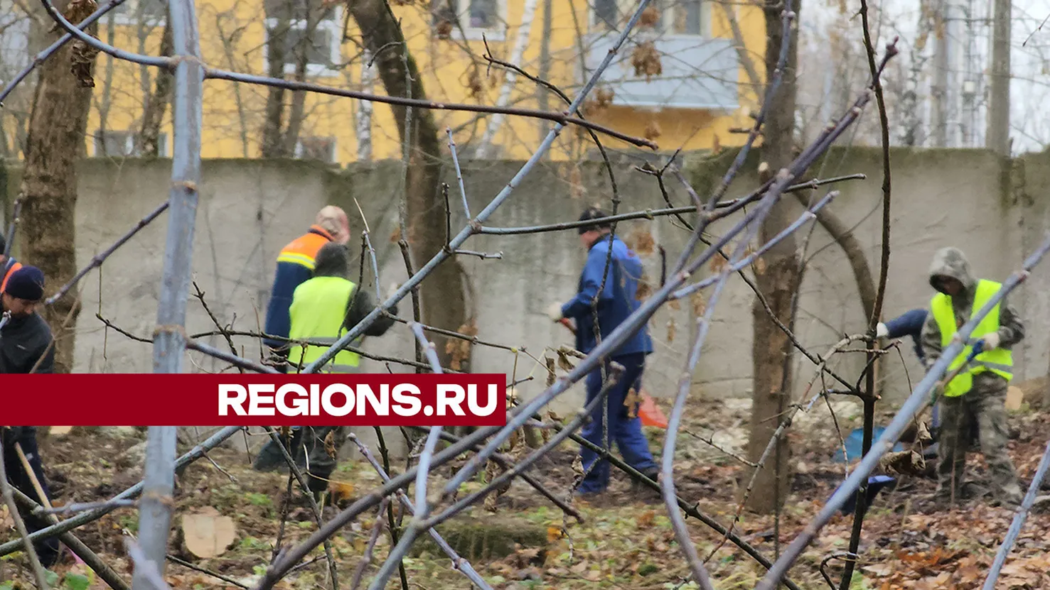Фото: Константин Гергая
