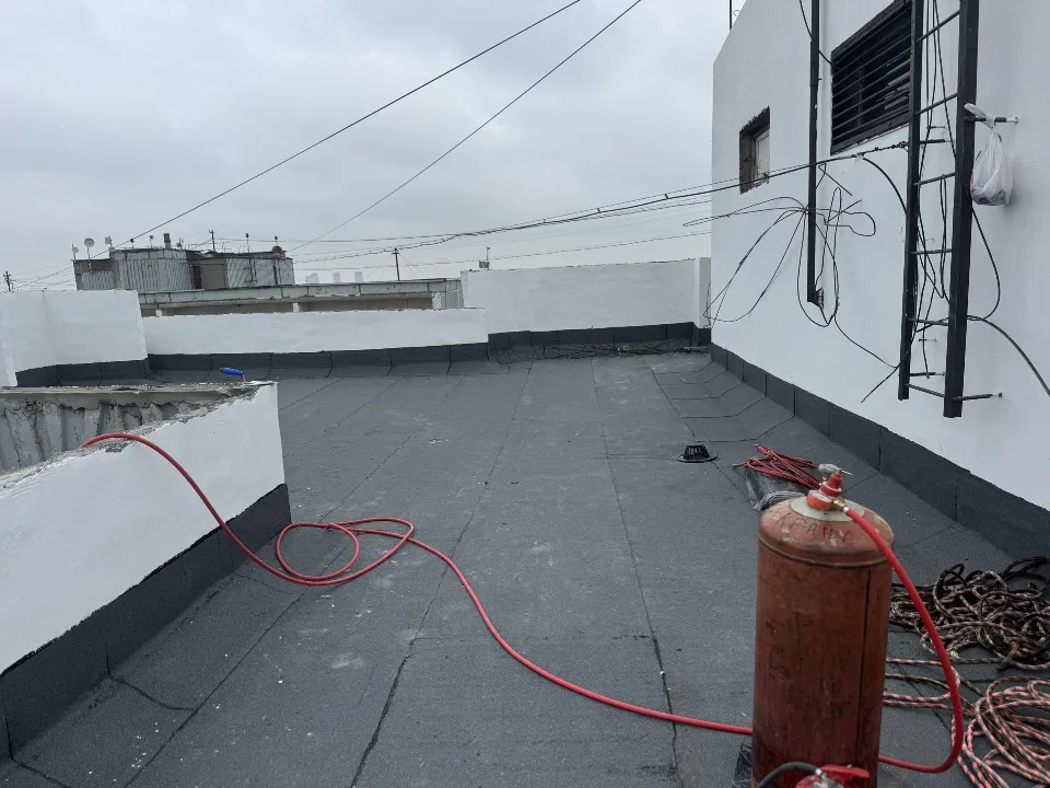 Фото: Полина Абраменко