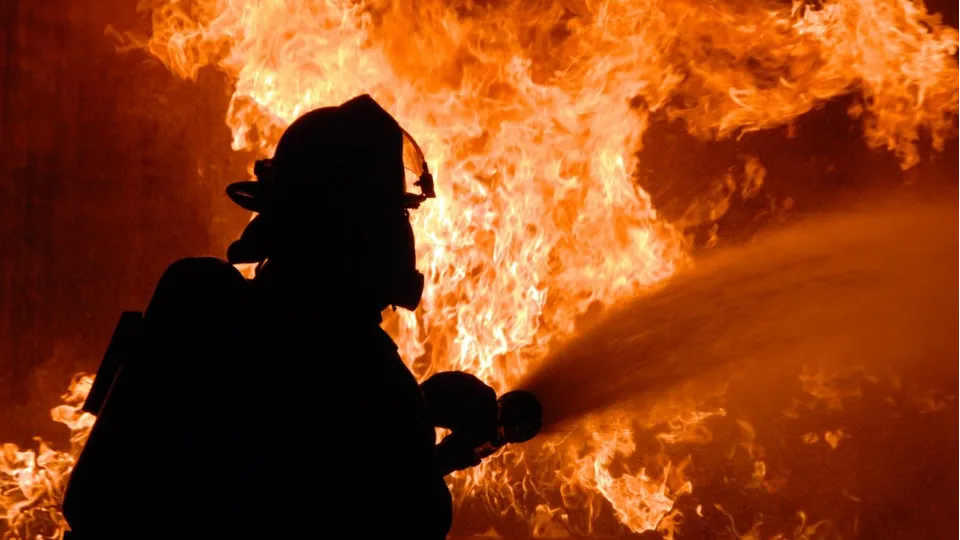 Фото: pxhere.com