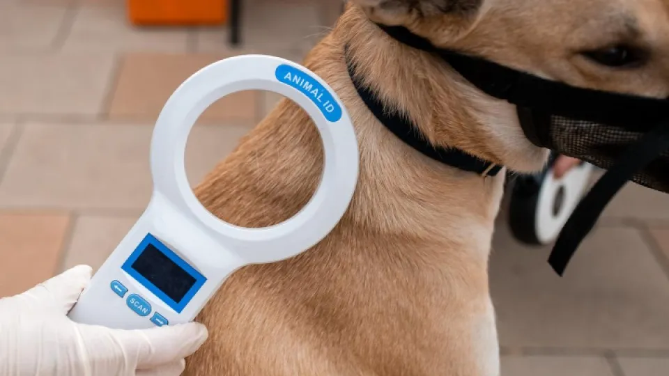 Фото: администрация г.о Люберцы