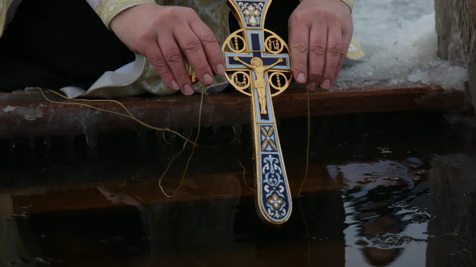 Фото: медиасток.рф