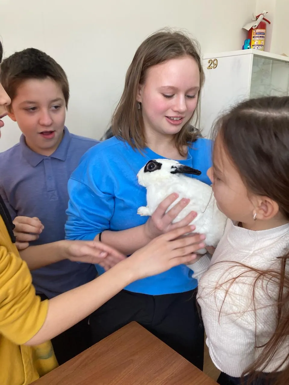 Фото: МАН Импульс